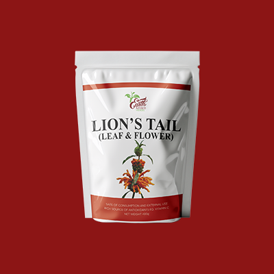 Lion's Tail (Leaf & Flower)