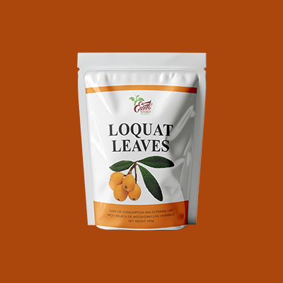 Loquat Leaves