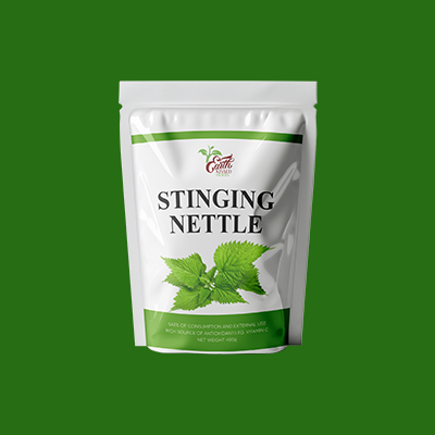 Stinging Nettle
